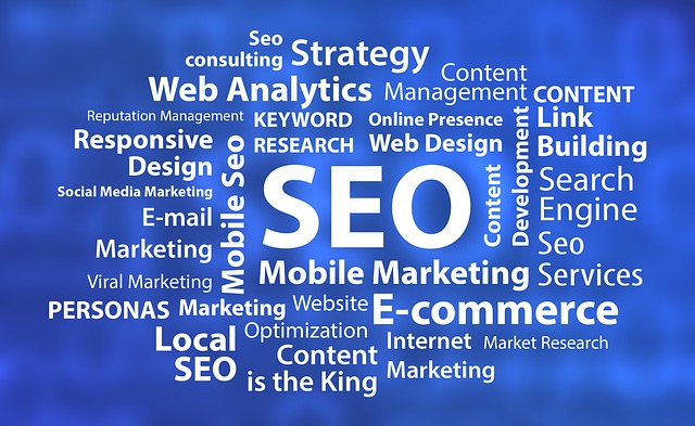 corporate seo training